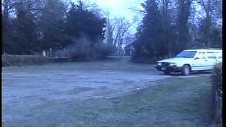 You Will Try Many Beautiful Dicks