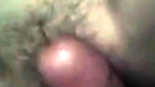 Korean Amateur Collection