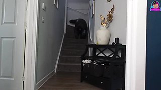 Amateur MILF Stepmom Trains Submissive Slave in Extreme Femdom Bondage - Real Homemade Orgasm & Facesitting