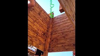 Beach Cabin
