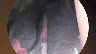 Smelly Fart Compilation