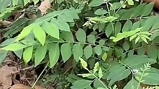 Teen Pee in the Forest