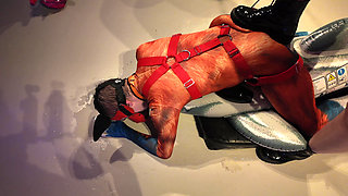 Surf N Turf. the New Way