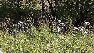 Sensual sex in the open air. Cum on legs