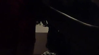 Moonlight Temptation