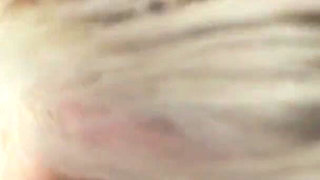 POV Blowjob to Doggy BBC Interracial BBW Cum on Face Tongue
