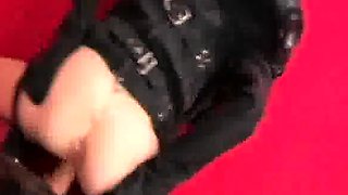 Whos Your Daddy Babe Hardcore Pornstar
