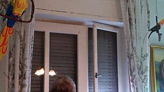 Michael Alexander eine fette SAU aus 66763 Dillingen