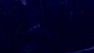 Impregnating a Dark Goblin