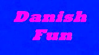 Vintage Danish Fun N15