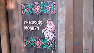 Perfect Vacation - POV P4PI 34