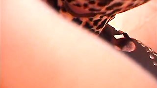 Sassy fiancée's bigcock co dirt