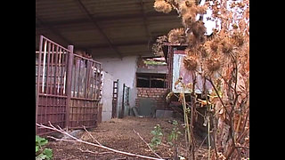 The Damsel Fucked in the Countryside