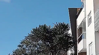 I Love It When the Neighbors See