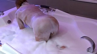 I'm Driven Crazy with Passion by My Stepbrother's Big Cock, I Enjoy It in the Motel Jacuzzi