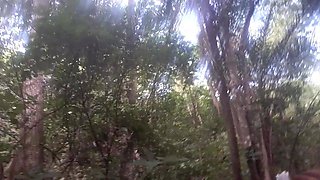 Walk in the Woods