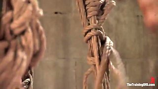 The Training Of Day Three With Sarah Shevon