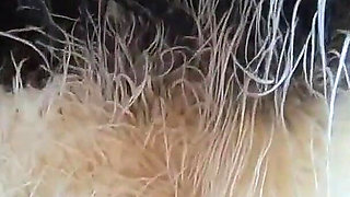 Tight Green Leather Pants Cameltoe Blowjob & Doggy with Cum on My Fur Coat & Downjacket- Preview