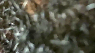 Pussy Licking Eating My Hot Wifes Pussy Untill It Becomes so Wet