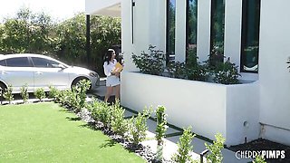 Cherry Pimps - pussy licking action