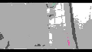 Pissing in My Toilet