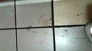 Korean Amateur Sucks Cock in Bathroom Gloryhole