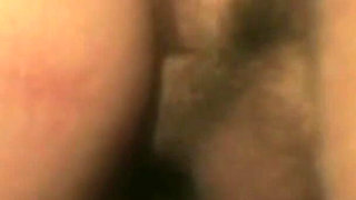 Italians Do It Better: Word by Peter North