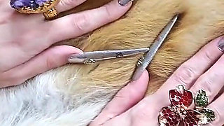 Extremely Long Stiletto Nails and Leather Boots Worship