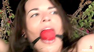 Exotic Sex Clip Hd Greatest Full Version