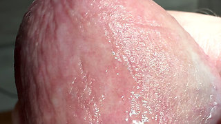 Crocodile Mouth Releases Fluid