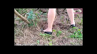 Landing in the Forest 1
