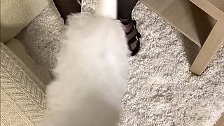 Lewd hussy unbelievable xxx movie