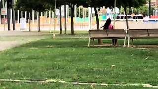 Pure Quality Pick Up