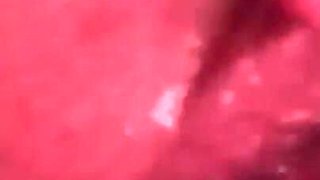 Pussy Close-up