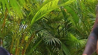 I Fuck My Mother-in-law and Sister-in-law at Christmas Family Reunion