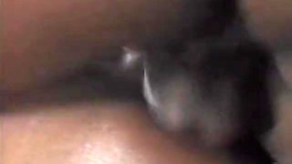 Honeyz Horny Teens 18+ South Central Hookers 16