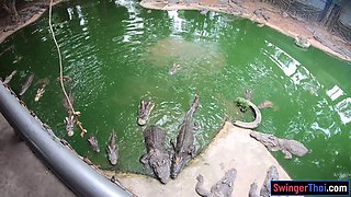 Crocodile feeding and twat pleasing