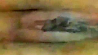 Cuckold Husband Sucking Her Wifes Ass Hole