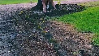 Steamy POV Blowjobs Outdoors