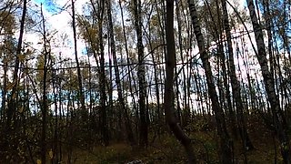 Risky Public Handjob and Blowjob by Cute Teen in a Forest