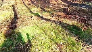 All Alone in the Forest...