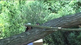 Outside picnic pussy fucking