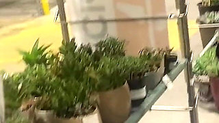 Slut Wife Sucks Cock at Home Improvement Store
