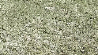 Public Pissing Compilation in Nature! Car Trip! POV!