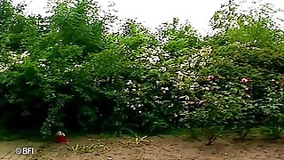 Dutch Wilma Fucked in Garden