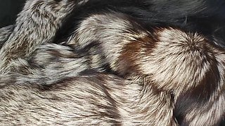 Blowjobs and Cum All Over My Fur Coat