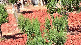 Blonde Poolside Double Penetration Ecstasy