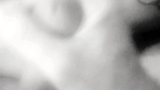 black n white bj