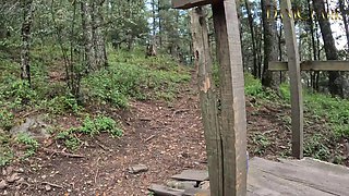 Fucking My Girlfriend in the Woods