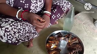 Desi Bhabhi Drunk and Sucking Cock - Yousokhona Homemade Indian Sex